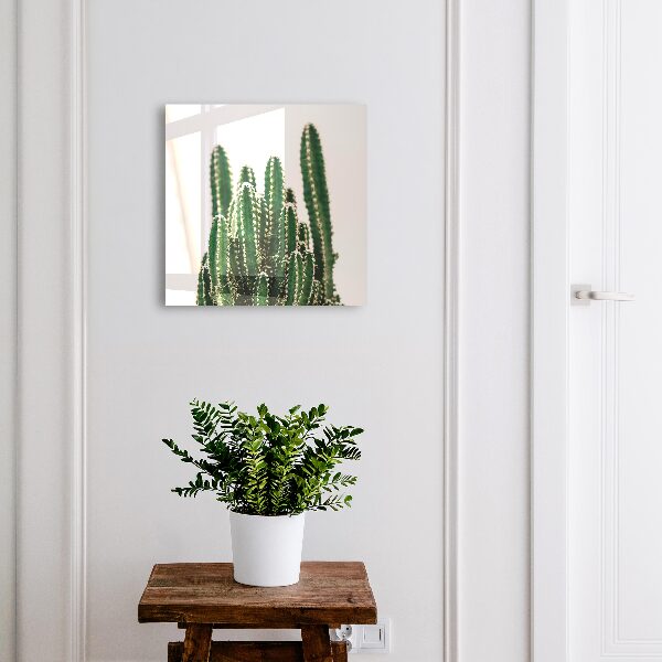 Cutie chei Cactuși verzi