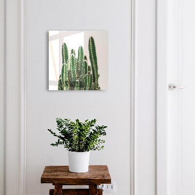 Cutie chei Cactuși verzi