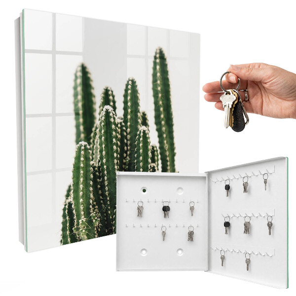 Cutie chei Cactuși verzi
