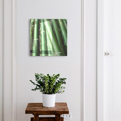 Dulap pentru chei Cameră verde