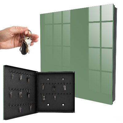 Dulap pentru chei Verde estompat