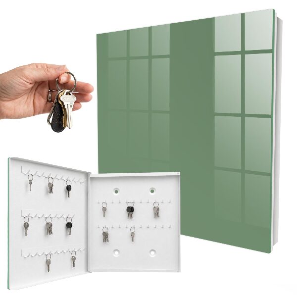 Dulap pentru chei Verde estompat