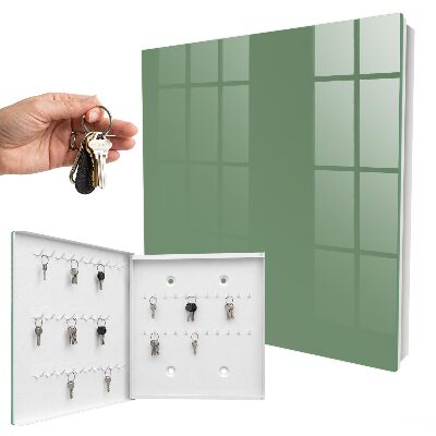 Dulap pentru chei Verde estompat