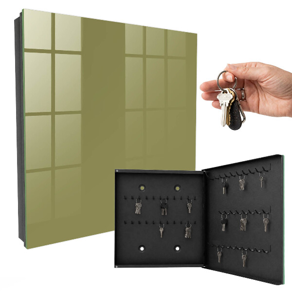 Dulap pentru chei Iarbă verde