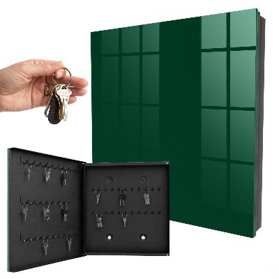 Dulap pentru chei Verde închis