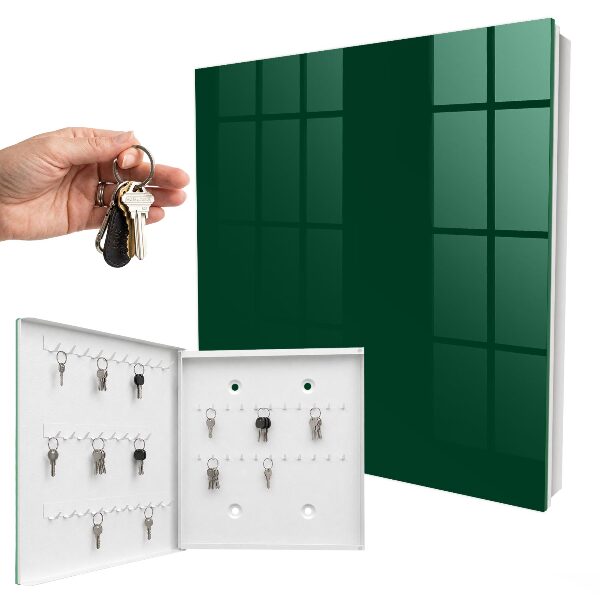 Dulap pentru chei Verde închis
