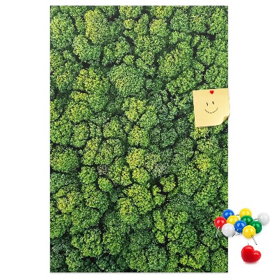 Panou plută Pădurea verde din vedere
