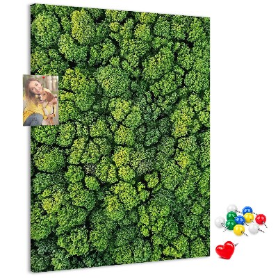 Panou plută Pădurea verde din vedere