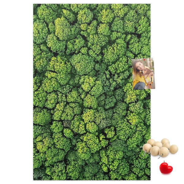 Panou plută Pădurea verde din vedere