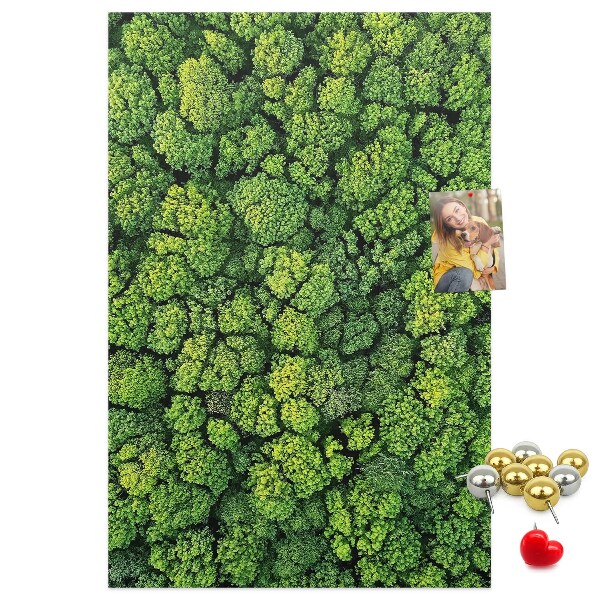 Panou plută Pădurea verde din vedere