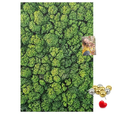 Panou plută Pădurea verde din vedere