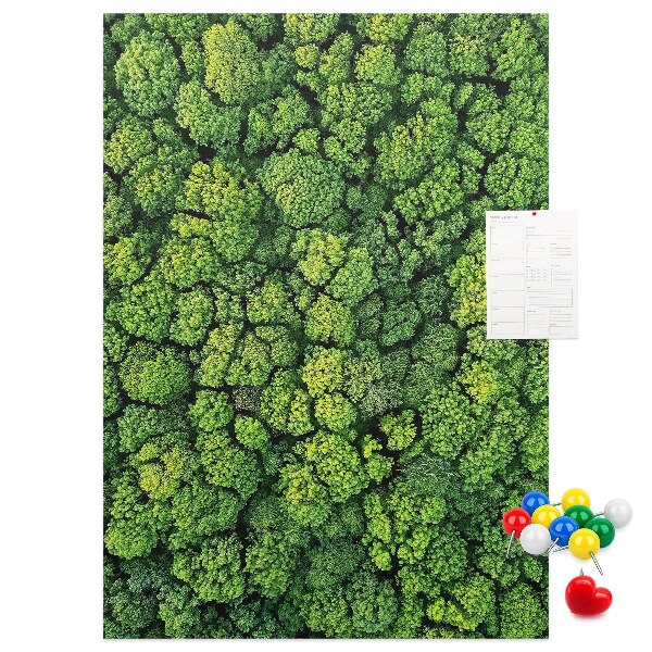Panou plută Pădurea verde din vedere