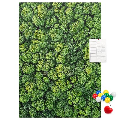 Panou plută Pădurea verde din vedere