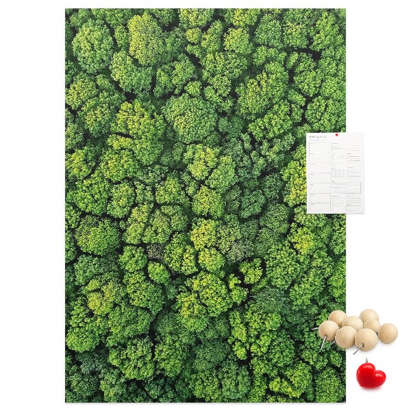 Panou plută Pădurea verde din vedere