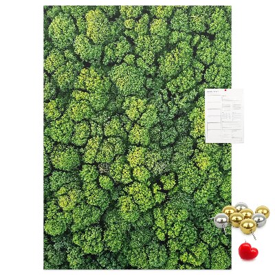 Panou plută Pădurea verde din vedere