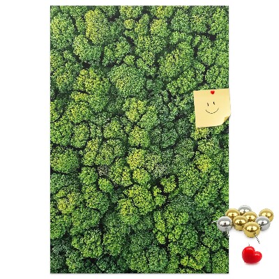 Panou plută Pădurea verde din vedere