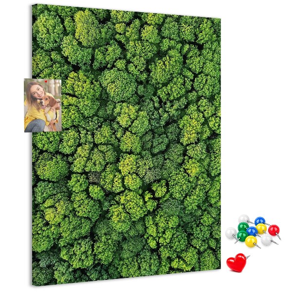 Panou plută Pădurea verde din vedere
