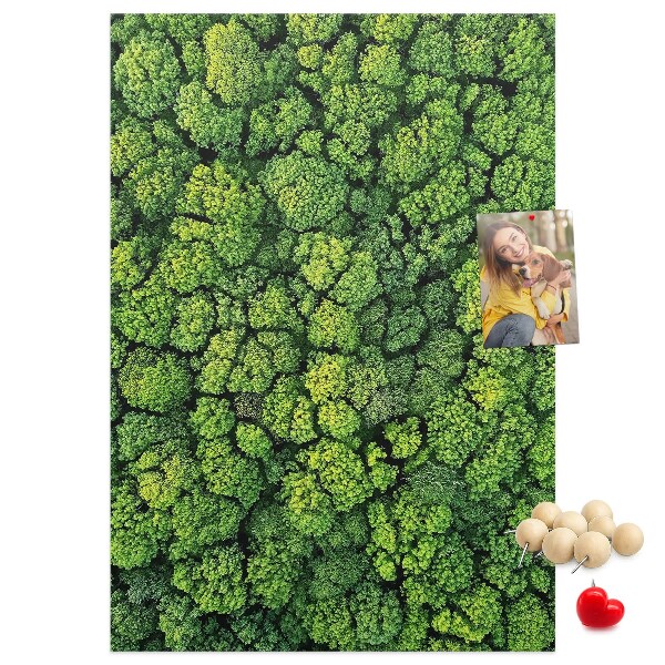 Panou plută Pădurea verde din vedere
