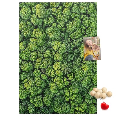 Panou plută Pădurea verde din vedere