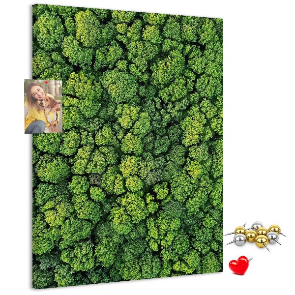 Panou plută Pădurea verde din vedere