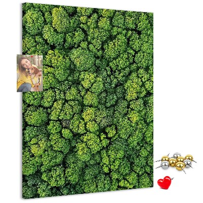 Panou plută Pădurea verde din vedere