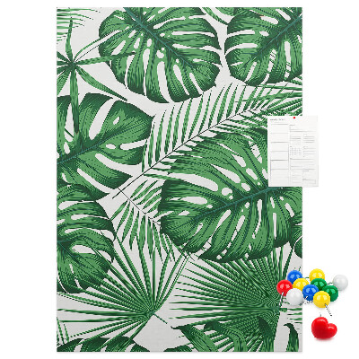 Panou plută Frunze de Monstera pe un fundal deschis
