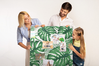 Panou plută Frunze de Monstera pe un fundal deschis