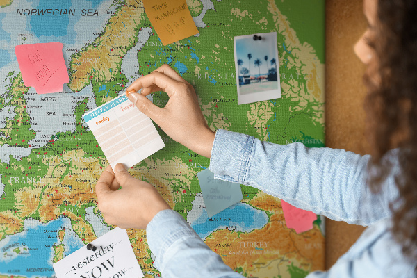 Panou de pluta Harta Europei cu indicații geografice.