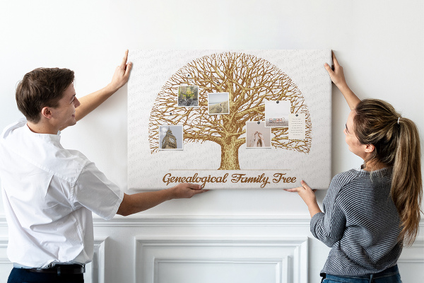 Panou din pluta Un arbore genealogic cu ramuri ramificate