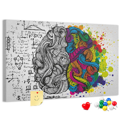 Panou din pluta Creierul și creativitatea într-o armonie colorată