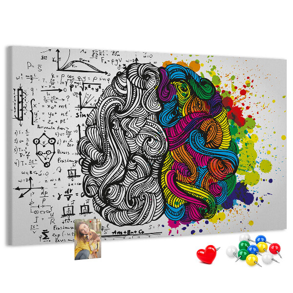 Panou din pluta Creierul și creativitatea într-o armonie colorată