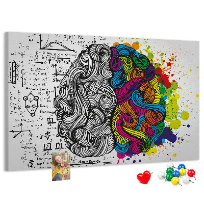 Panou din pluta Creierul și creativitatea într-o armonie colorată
