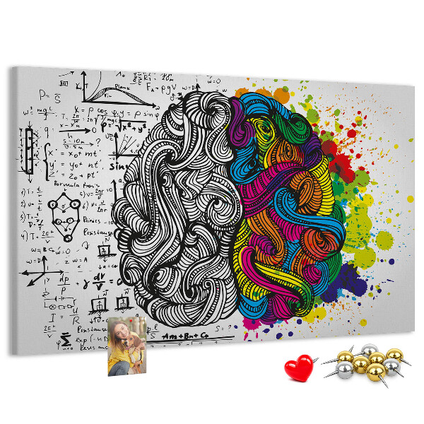 Panou din pluta Creierul și creativitatea într-o armonie colorată