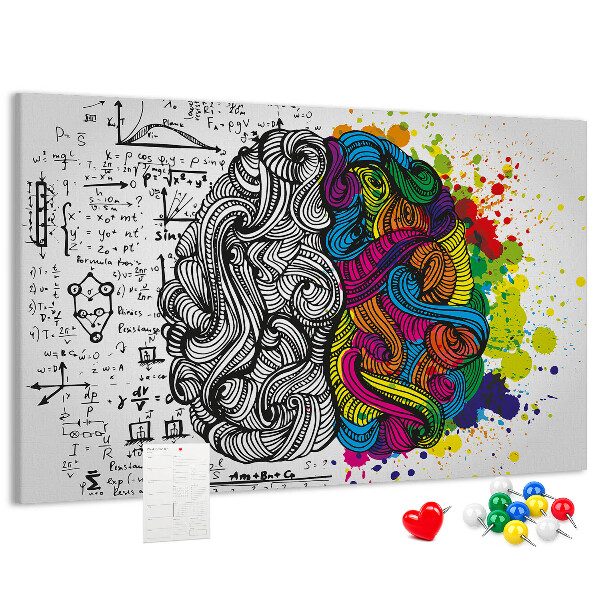 Panou din pluta Creierul și creativitatea într-o armonie colorată