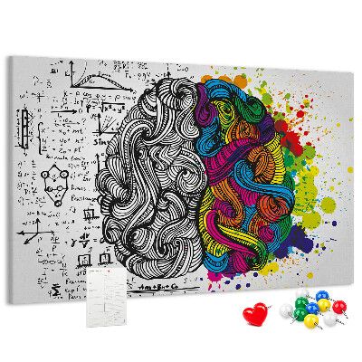 Panou din pluta Creierul și creativitatea într-o armonie colorată