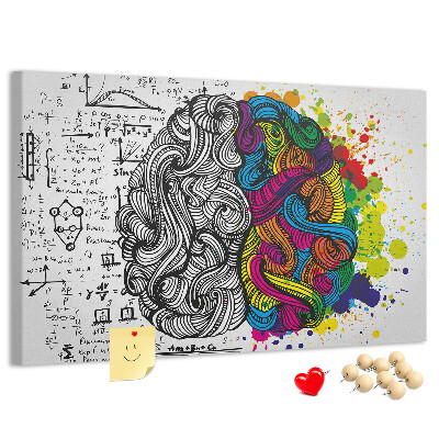 Panou din pluta Creierul și creativitatea într-o armonie colorată