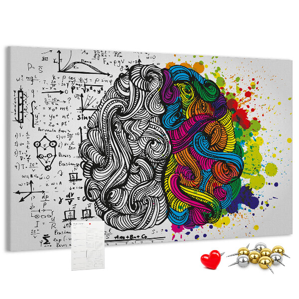 Panou din pluta Creierul și creativitatea într-o armonie colorată