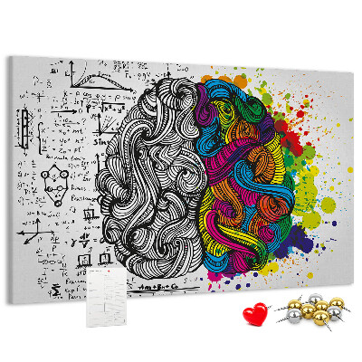 Panou din pluta Creierul și creativitatea într-o armonie colorată