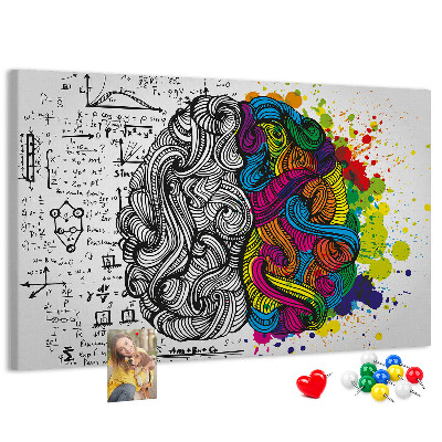 Panou din pluta Creierul și creativitatea într-o armonie colorată