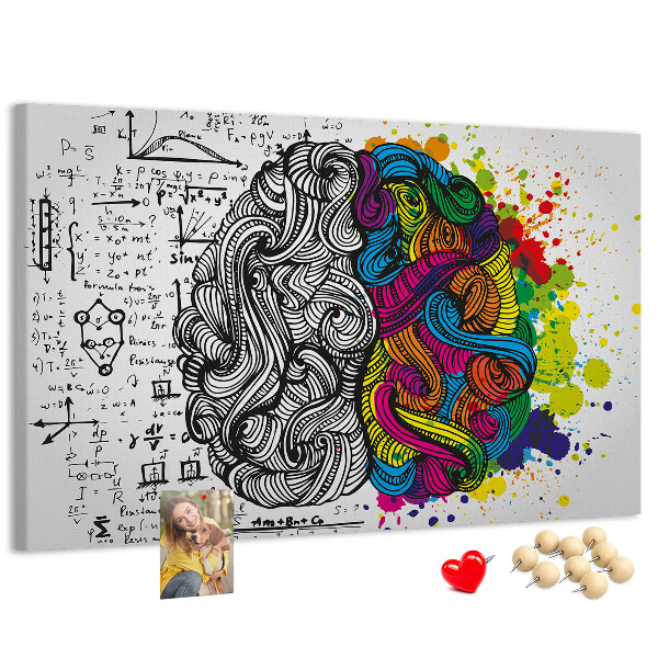 Panou din pluta Creierul și creativitatea într-o armonie colorată