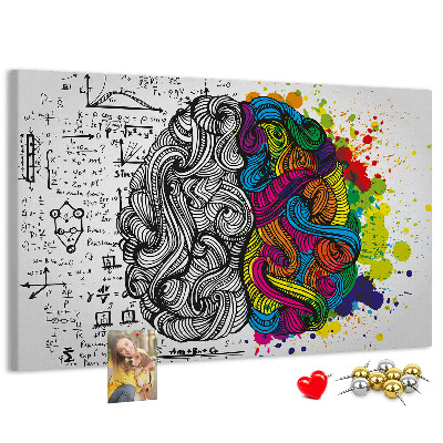 Panou din pluta Creierul și creativitatea într-o armonie colorată