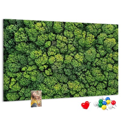 Panou de pluta O pădure verde cu vegetație densă