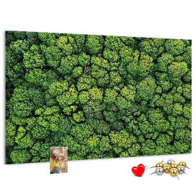 Panou de pluta O pădure verde cu vegetație densă