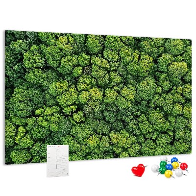 Panou de pluta O pădure verde cu vegetație densă