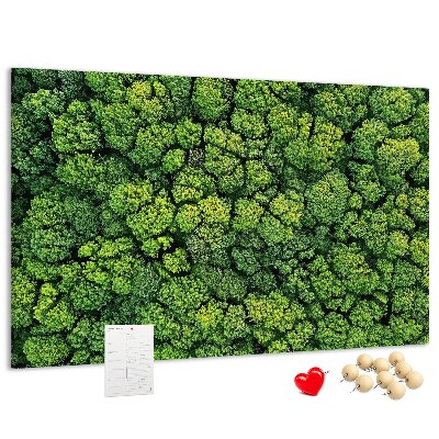 Panou de pluta O pădure verde cu vegetație densă