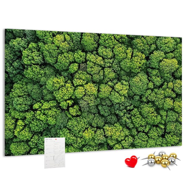 Panou de pluta O pădure verde cu vegetație densă
