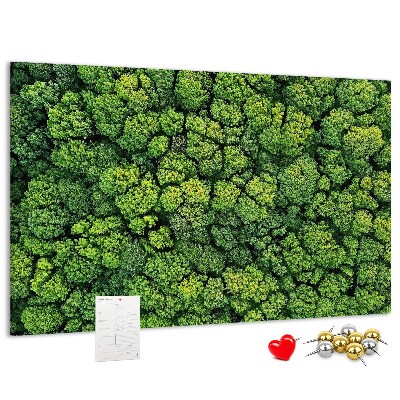 Panou de pluta O pădure verde cu vegetație densă