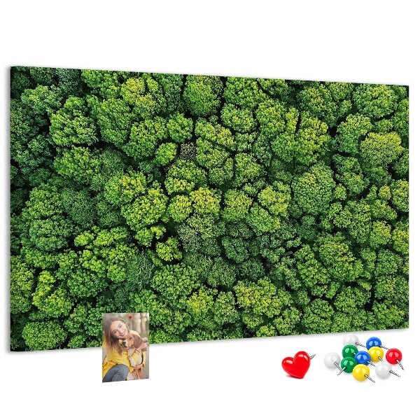 Panou de pluta O pădure verde cu vegetație densă