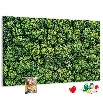 Panou de pluta O pădure verde cu vegetație densă