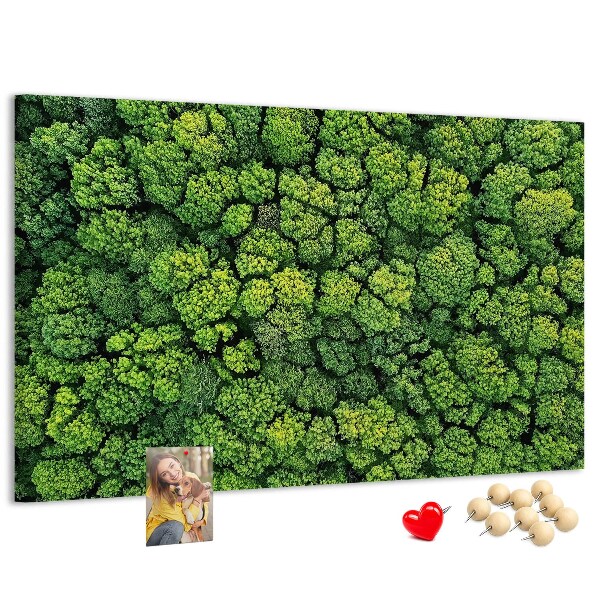 Panou de pluta O pădure verde cu vegetație densă